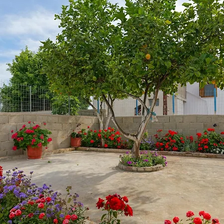 Brahimi דירה